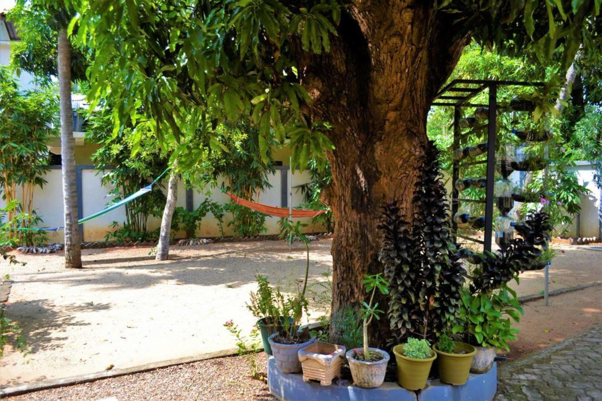 Dambulla City Hostel Exterior foto